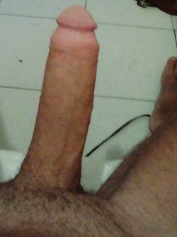 IL mio cazzo — foto 2/2