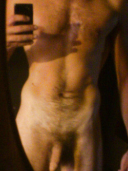 Uccello — foto 7/10