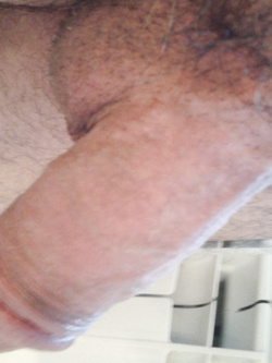 CHI LO VUOLE ? — foto 6/7