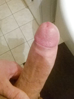 attivissimo — foto 5/5