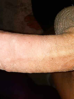 Uccello — foto 1/1