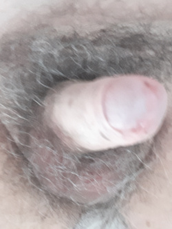 Voglia di cazzo 2 — foto 2/4