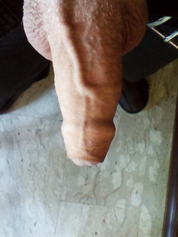 Il mio cazzo... — Foto Utenti — foto 7/13