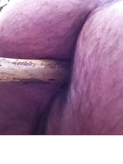 A pecora  nel bosco — foto 3/4