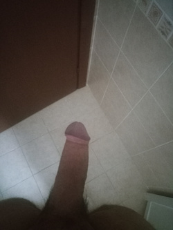 Cerco... — Foto Utenti — foto 2/3