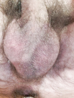 Son così — Foto Utenti — foto 5/6