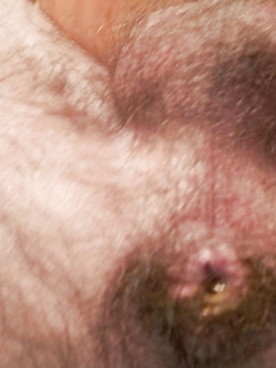 Solo per voi... fatene ciò che volete! — Foto Utenti — foto 1/3