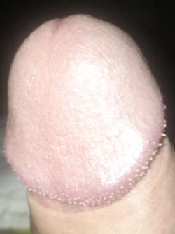 La mia cappella — Foto Utenti — foto 1/1