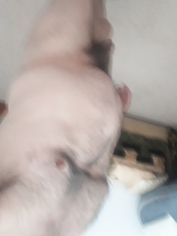 Le strane voglie di un insospettabile uomo sposato..PASSIVO — foto 3/8