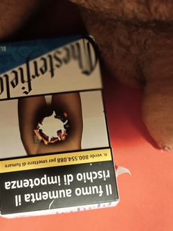 il mio inutile e frocio pisellino — foto 1/1
