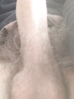 Buon pomeriggio! — foto 2/2