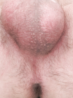 Buon pomeriggio — foto 3/9