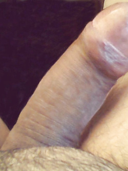 Il mio cazzo per tutti — foto 4/9