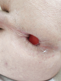 Penetrazioni Estreme!! — foto 1/25