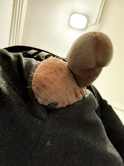 In pausa al lavoro ma con tanta voglia di CAZZO!!!! — foto 5/5