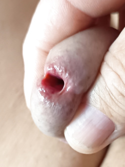 Avanti e dietro — foto 1/1