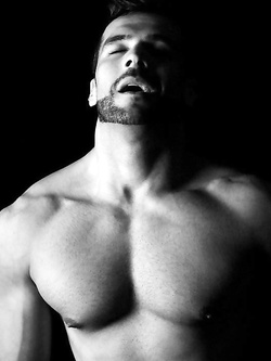 Martedì di cazzi duri e buchi sfondati – gaytube estremo — Coppie — foto 23/44