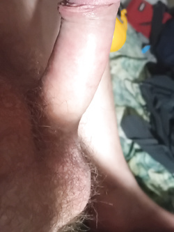 Il cazzo è meraviglioso — Bisessuali — foto 1/14