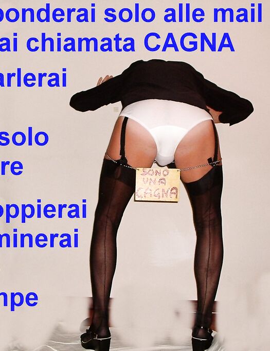 Cerco schiavi