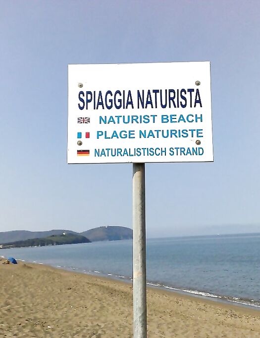 Cazzo duro
