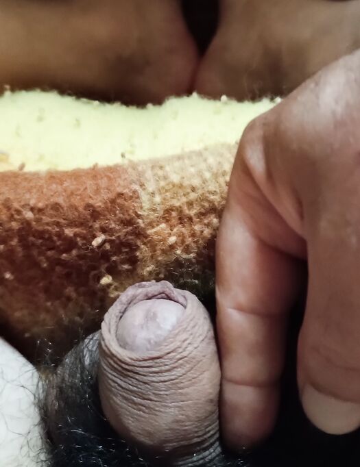 Il mio pisellino peloso
